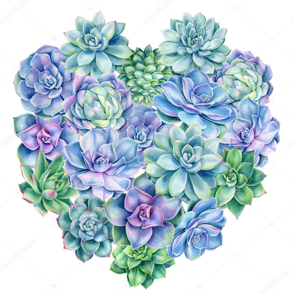 Heart of succulents, watercolor botanical illustration, greeting card