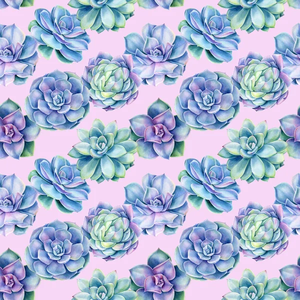 Seamless pattern with succulents plants , watercolor illustration