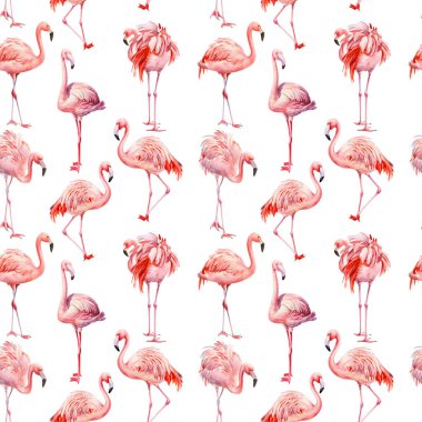Flamingo deseni, pembe flamingo izole edilmiş arka plan, suluboya çizimi, kusursuz desen