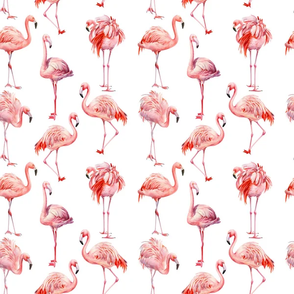 Flamingo pattern, Pink flamingo isolated background, watercolor illustration, seamless pattern — Stock Photo, Image