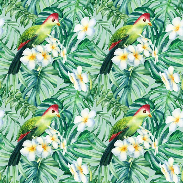 Tropical bird and palm leaves, plumeria flowers. Watercolor Jungle background texture, seamless pattern — Stock Photo, Image