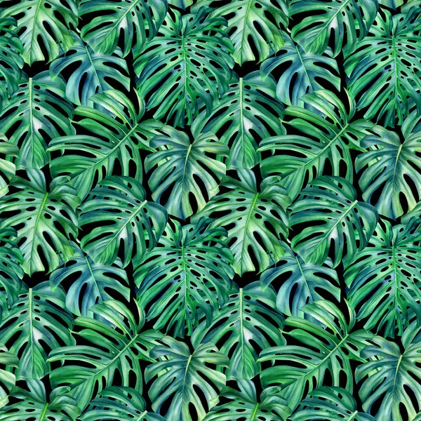 Monstera hojas sobre fondo aislado, ilustración de acuarela, patrón sin costura, diseño de la selva —  Fotos de Stock