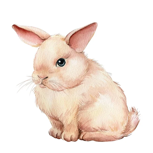 白色孤立背景的可爱兔子，水彩画 — 图库照片