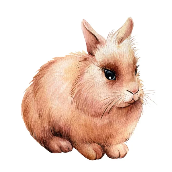 Bunny on white isolated background, watercolor illustration — Stok Foto