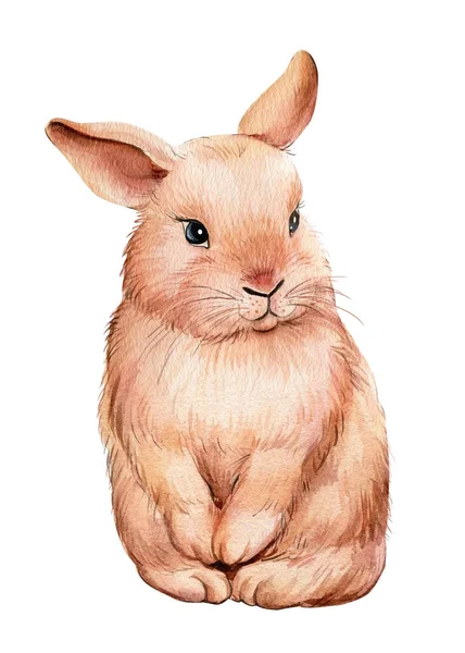 Lapin aquarelle sur fond blanc isolé, animal mignon — Photo