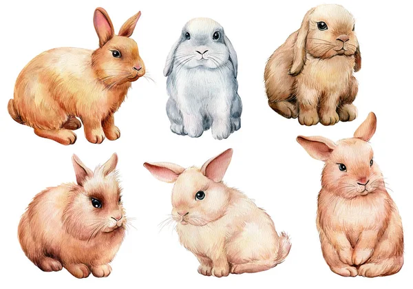 Conjunto de coelhos sobre fundo isolado branco, ilustração aquarela — Fotografia de Stock
