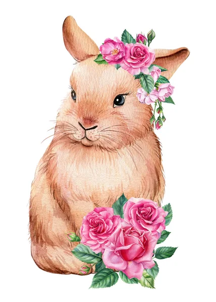 Kanin med rosa blommor på vit isolerad bakgrund, akvarell illustration — Stockfoto