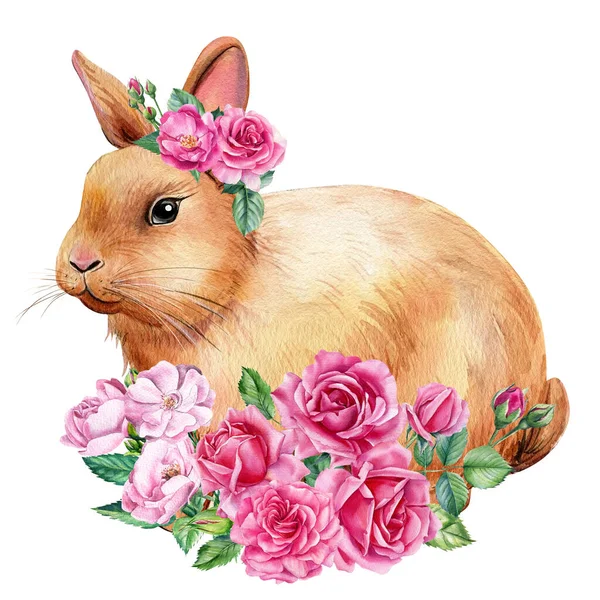 Kanin med rosa blommor på vit isolerad bakgrund, akvarell illustration — Stockfoto