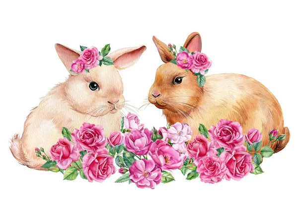 Lapins aux roses roses sur fond blanc isolé, illustration aquarelle — Photo