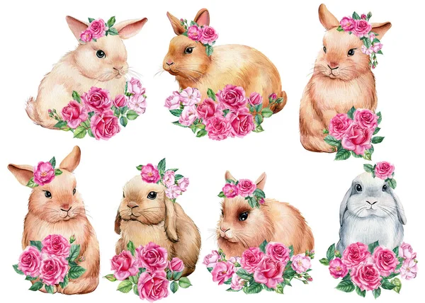 Conjunto de primavera de conejito con flores de color rosa sobre fondo blanco aislado, ilustración acuarela —  Fotos de Stock