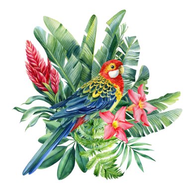 Papağan, çiçek ve palmiye yapraklarıyla kompozisyon, yaz baskısı, suluboya botanik resim