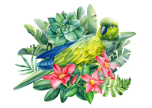 Papağan, çiçek ve palmiye yapraklarıyla kompozisyon, yaz baskısı, suluboya botanik resim — Stok fotoğraf