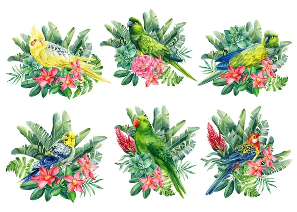 Papağan, çiçek ve palmiye yaprakları, yaz baskısı, suluboya botanik resim — Stok fotoğraf