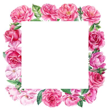 Metin İçin Yer 'li Çiçek Kartları. Güller, beyaz arka planda tomurcuklar, suluboya resimler.