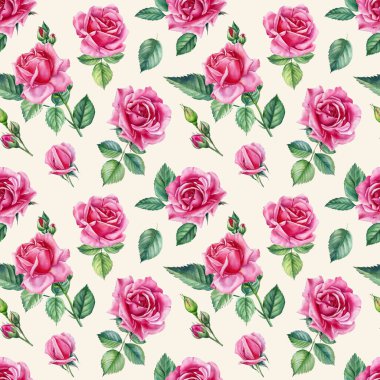 Beyaz arka planda pembe güller, tomurcuklar ve yapraklar, suluboya resimler. Kusursuz desenler