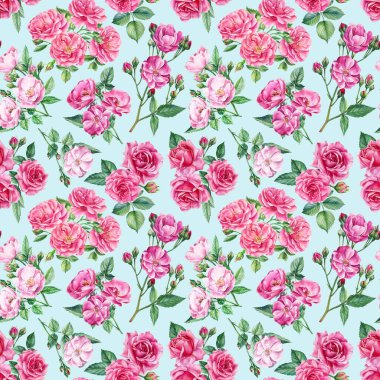 Beyaz arka planda pembe güller, tomurcuklar ve yapraklar, suluboya resimler. Kusursuz desenler