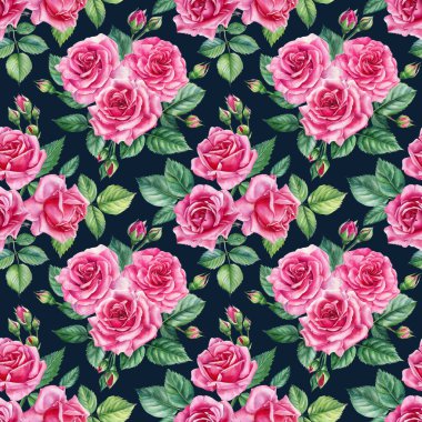 Beyaz arka planda pembe güller, tomurcuklar ve yapraklar, suluboya resimler. Kusursuz desenler