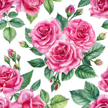 İzole bir arka planda gül dallarının, tomurcukların ve yaprakların kusursuz desenleri. Suluboya çiçekleri