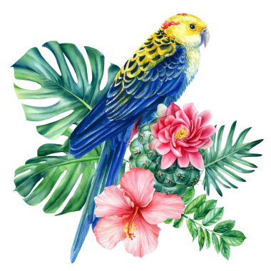 İzole edilmiş beyaz arka planda afiş papağanları ve tropikal çiçekler, güzel kuş suluboya resmi, illüstrasyon