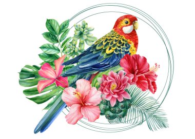 İzole edilmiş beyaz arka planda afiş papağanları ve tropikal çiçekler, güzel kuş suluboya resmi, illüstrasyon