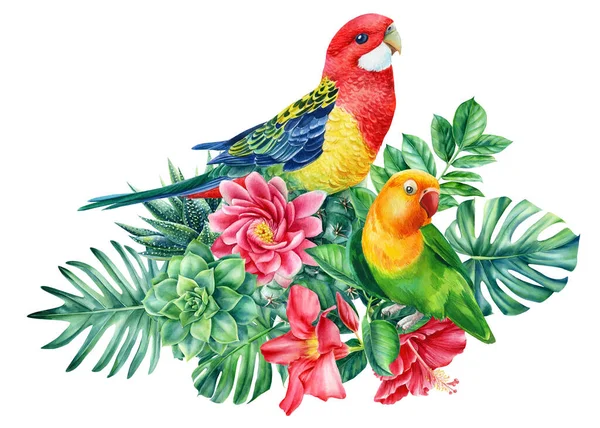 Póster loros y flores tropicales sobre fondo blanco aislado, hermosa pintura acuarela pájaro, ilustración —  Fotos de Stock