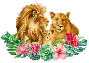 Aslan ailesi izole edilmiş beyaz arka plan suluboya tablosunda. Sanat posteri