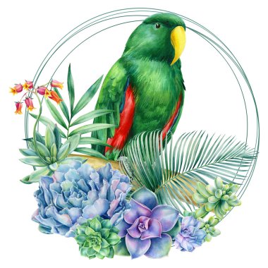 İzole edilmiş beyaz arka planda afiş papağanları ve tropikal çiçekler, güzel kuş suluboya resmi, illüstrasyon