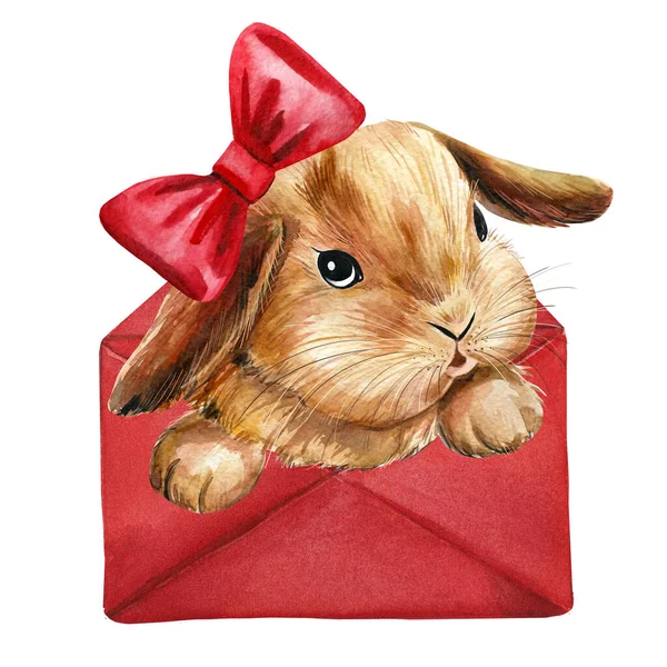 Bunny in een rode envelop op een geïsoleerde witte achtergrond, pluizig konijn, kinderen grappig aquarel poster — Stockfoto