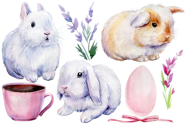 Aquarelle Ensemble de Pâques Lapin, tasse rose, fleurs de lavande, oeuf sur un fond blanc isolé — Photo