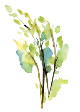 İlkbahar, ağaç dalları suluboya resimleme