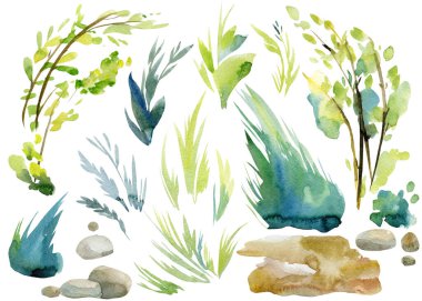 İlkbahar taşları, çimenler, ağaç dalları suluboya klipleri