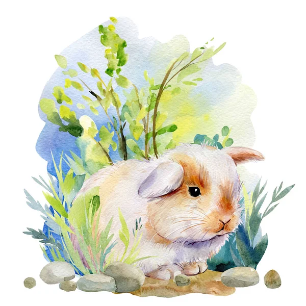 Lapin mignon de printemps sur l'herbe, carte postale aquarelle, lapin moelleux — Photo