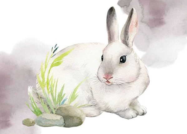 Lapin blanc sur fond blanc isolé, lapin moelleux aquarelle, carte de vœux — Photo