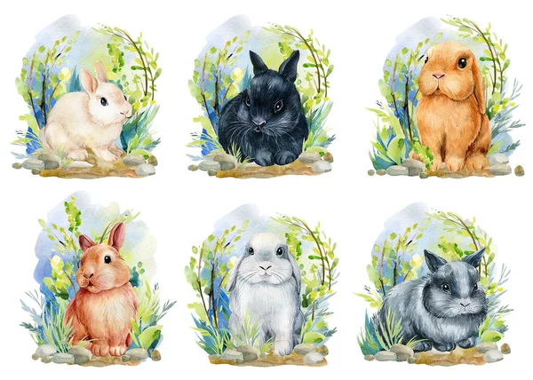 毛绒绒的兔子。春天可爱的兔子在草地上，水彩画 — 图库照片