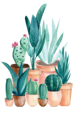 Kapalı alandaki bitkilerin bileşimi. Sulu yeşil kaktüs ve sulu boya. Saksıdaki Ev Bitkileri