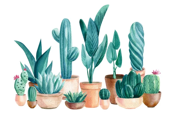 Akvarelové kaktusy a sukulenty. Dům Rostliny v hrnci — Stock fotografie