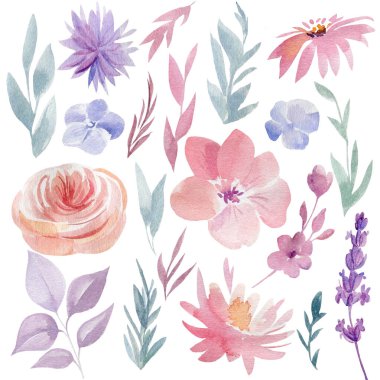 Beyaz arka planda izole edilmiş, suluboya elle boyanmış çiçek desenli soyut çiçekler.