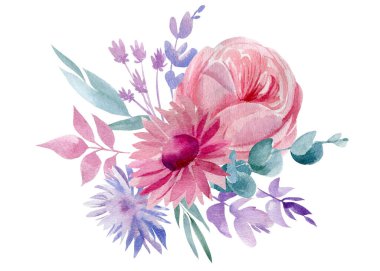 Beyaz arka planda izole edilmiş pembe ve menekşe çiçekleri, suluboya resim