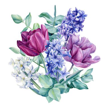 Beyaz arka planda izole edilmiş suluboya bahar buketi. Çiçek seti laleler, sümbüller, okaliptüsler.
