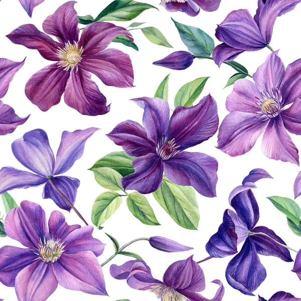 Seamless pattern. Watercolor purple flowers on isolated background, botanical painting. Floral design Clematis