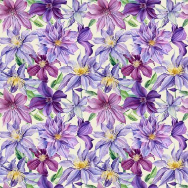 Kusursuz desen. İzole edilmiş arka planda suluboya mor çiçekler, botanik resim. Çiçek tasarımı: Clematis 