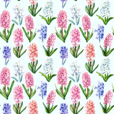 İzole bir zemin üzerinde çiçek deseni, suluboya sümbüller..