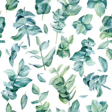 İzole edilmiş bir arka planda çiçek desenli yeşil yapraklar, suluboya okaliptüs..