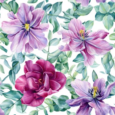 İzole bir zemin üzerinde çiçek deseni, suluboya sümbüller, okaliptüsler, laleler.