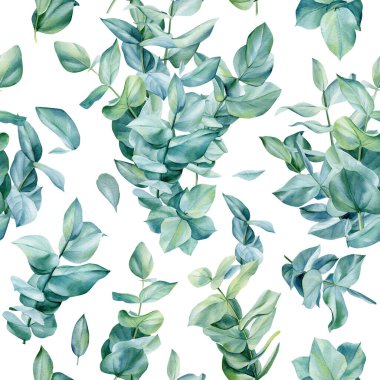 İzole edilmiş bir arka planda çiçek desenli yeşil yapraklar, suluboya okaliptüs..