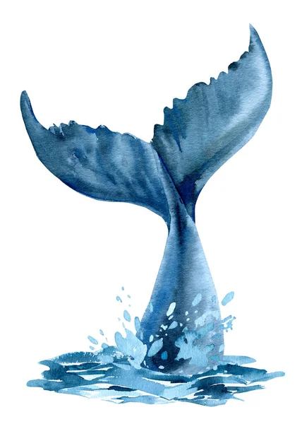 Cola de ballena en el océano, salpicaduras de agua, ballena sobre fondo blanco aislado, acuarela ilustración — Foto de Stock