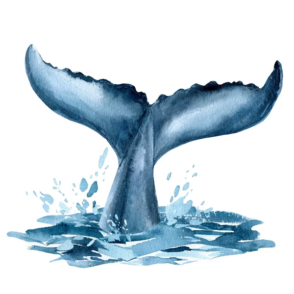 Whale tail in the ocean, splashing water, whale on isolated white background, watercolor illustration — Stock Photo, Image