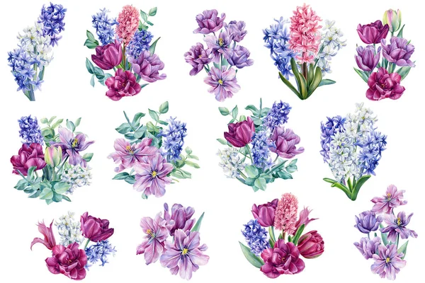 Conjunto de ramos de flores. Tulipanes, jacintos, hojas de eucalipto pintadas en acuarela sobre fondo blanco —  Fotos de Stock