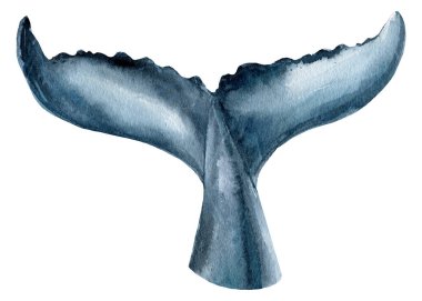 İzole edilmiş beyaz arka planda balina kuyruğu, suluboya çizimi