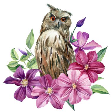 İzole edilmiş beyaz bir arka planda sevimli bir baykuş. Suluboya çizimi, pembe çiçekli baykuş.